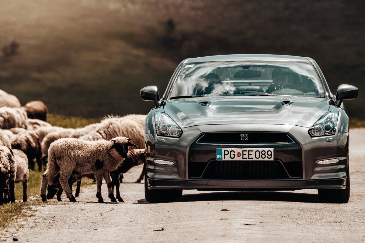 Nissan GT-R - Image 2